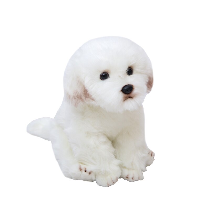 High Quality lifelike Maltese Dog Plush Toy Soft Cartoon Animal Dog Stuffed Doll Home Decoration Baby Kid Birthday Gift